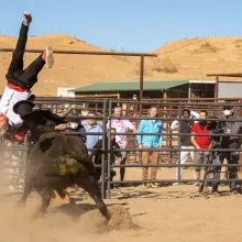  Stunt performer Johnny Knoxville is seen getting hit by a bull in a stunt. From Jeff Tremaine’s ‘Jackass Forever.’ Courtesy of Paramount Pictures. 