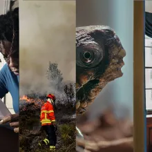 A collage of stills from four TIME Studios shorts.