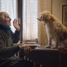 An elder man is talking to his dog that is on the dining table