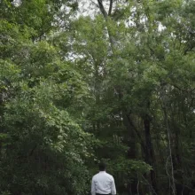 man faces forrest wall in the south