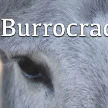 The head of a grey donkey and the text Burrocracy in white letters across the top.