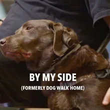 Man in folding chair places his tattooed arm around a chocolate lab service dog. 