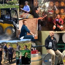 Various pictures of the wine making process collaged together.