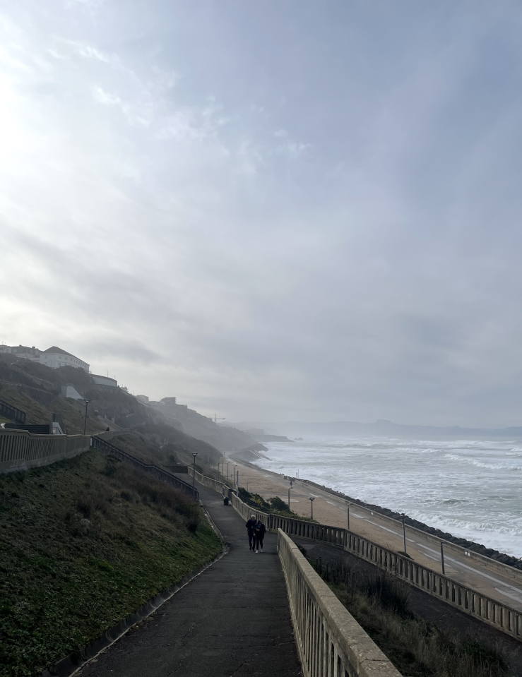 A vertical view of the path down to the beach.