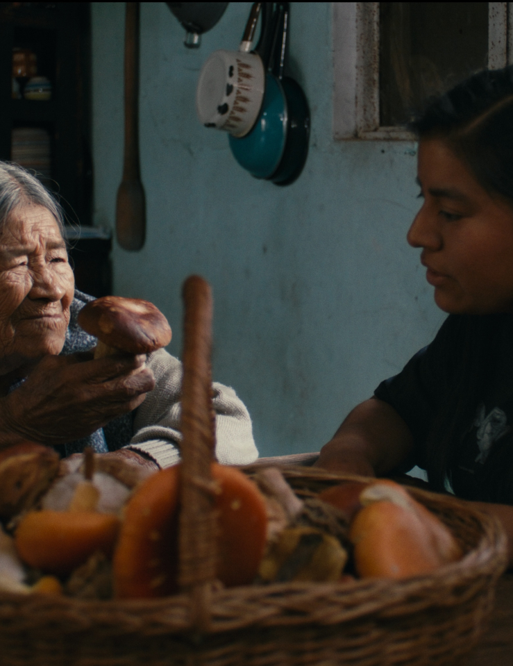An elder Indigenous woman with long grey hair parted and pulled back holds a mushroom while sitting at a table with a younger Indigenous woman with dark black hair, a basket full of mushrooms in front of them both.