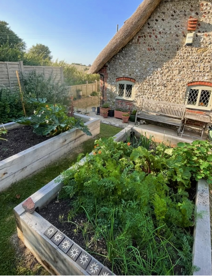 View of a lush green garden behind a rustic country house on a sunny day