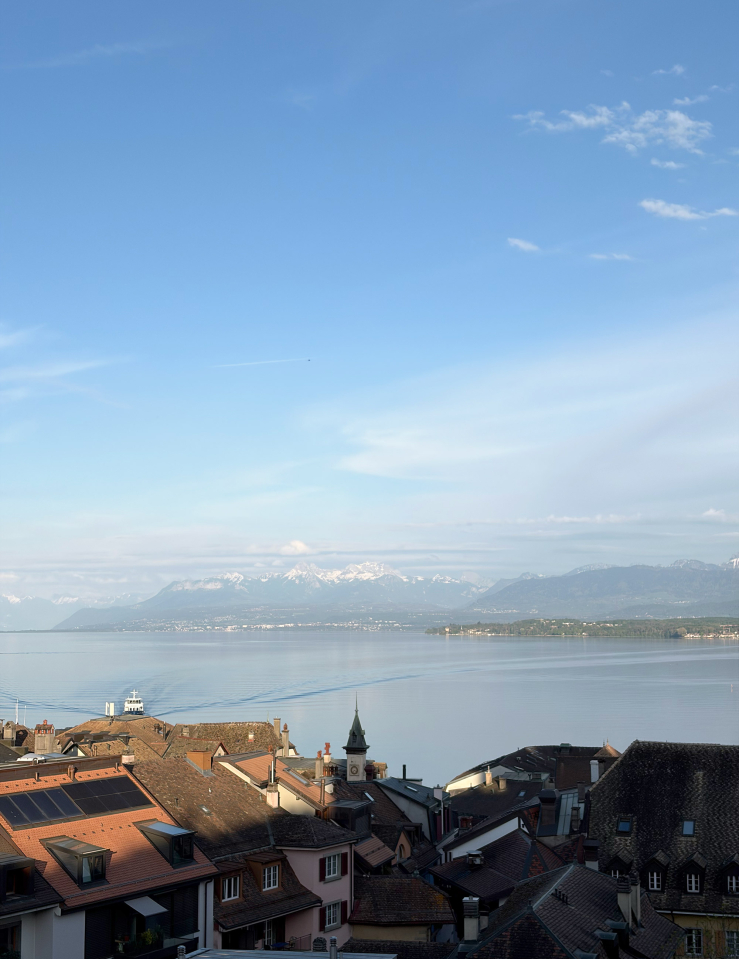 A view down to the lakeshore, capturing the rooftops of the buildings below.